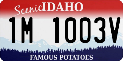ID license plate 1M1003V