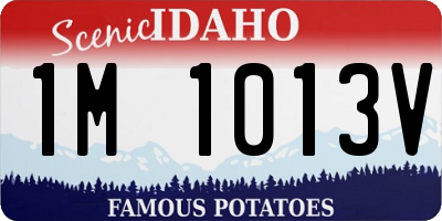 ID license plate 1M1013V