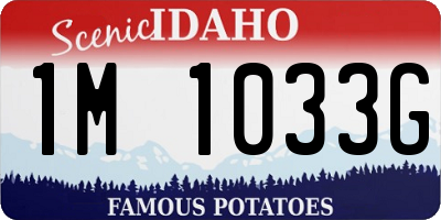 ID license plate 1M1033G
