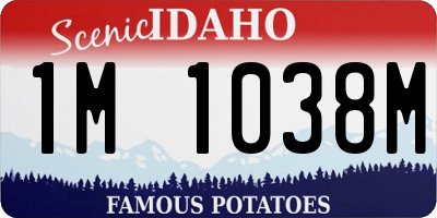ID license plate 1M1038M