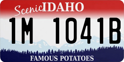 ID license plate 1M1041B