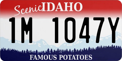 ID license plate 1M1047Y