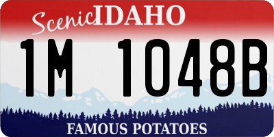 ID license plate 1M1048B