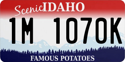 ID license plate 1M1070K