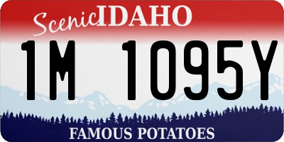 ID license plate 1M1095Y