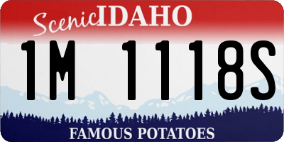 ID license plate 1M1118S