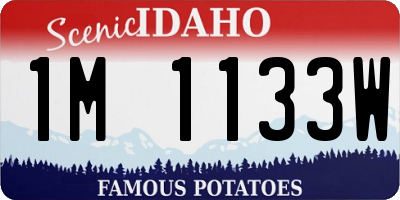 ID license plate 1M1133W