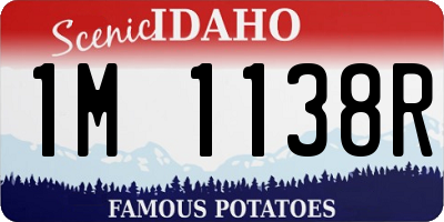 ID license plate 1M1138R