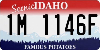 ID license plate 1M1146F