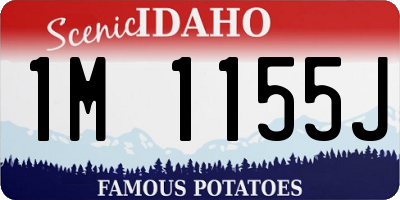 ID license plate 1M1155J