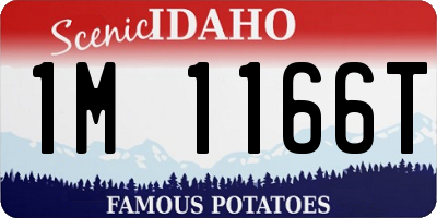 ID license plate 1M1166T