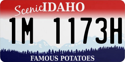 ID license plate 1M1173H