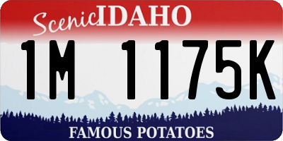 ID license plate 1M1175K
