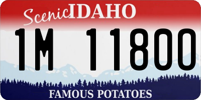 ID license plate 1M1180O