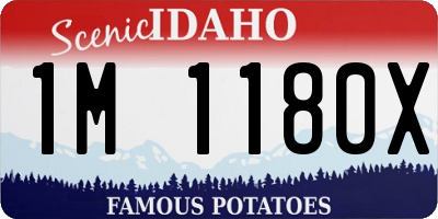 ID license plate 1M1180X