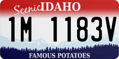 ID license plate 1M1183V
