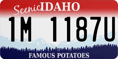 ID license plate 1M1187U