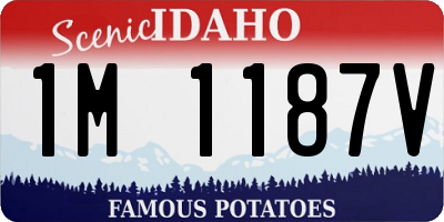 ID license plate 1M1187V