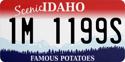 ID license plate 1M1199S