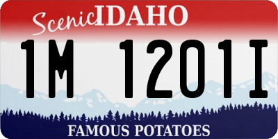 ID license plate 1M1201I