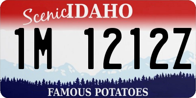 ID license plate 1M1212Z