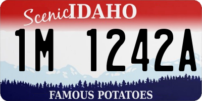 ID license plate 1M1242A