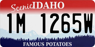 ID license plate 1M1265W