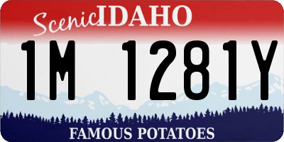 ID license plate 1M1281Y