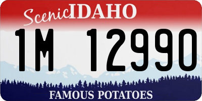 ID license plate 1M1299O