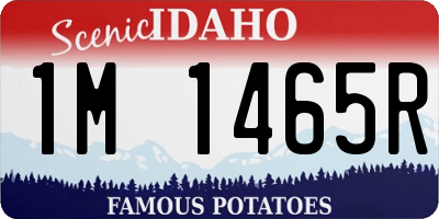 ID license plate 1M1465R
