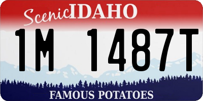 ID license plate 1M1487T