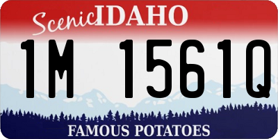 ID license plate 1M1561Q