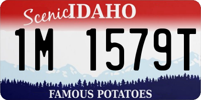 ID license plate 1M1579T