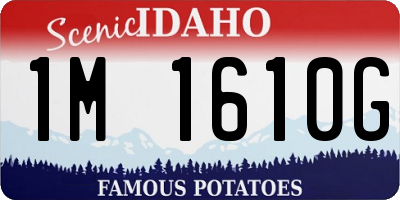 ID license plate 1M1610G