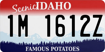 ID license plate 1M1612Z