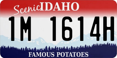 ID license plate 1M1614H