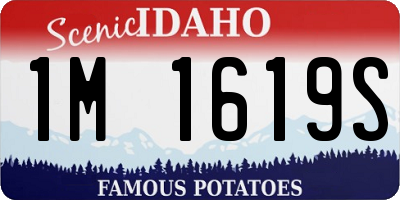 ID license plate 1M1619S