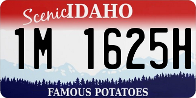 ID license plate 1M1625H