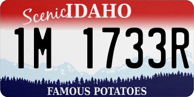 ID license plate 1M1733R