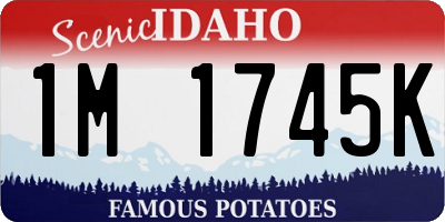 ID license plate 1M1745K