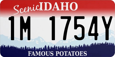 ID license plate 1M1754Y