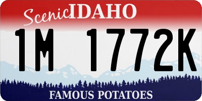 ID license plate 1M1772K