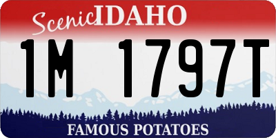 ID license plate 1M1797T