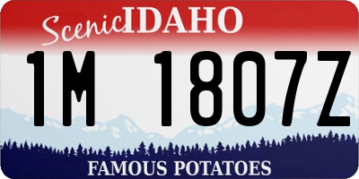 ID license plate 1M1807Z