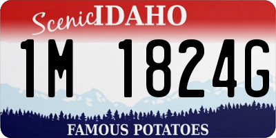 ID license plate 1M1824G