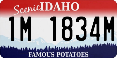 ID license plate 1M1834M