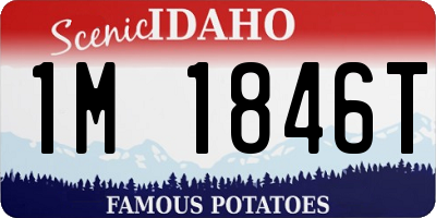 ID license plate 1M1846T