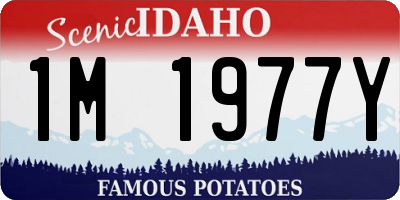ID license plate 1M1977Y