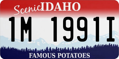 ID license plate 1M1991I