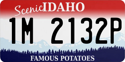ID license plate 1M2132P